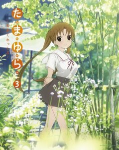 たまゆら~もあぐれっしぶ~ 第3巻 [Blu-ray]　(shin