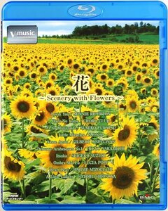 花?Scenery with Flowers? V-music [Blu-ray]　(shin