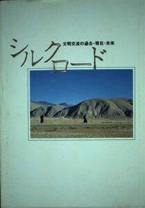 シルクロード―文明交流の過去・現在・未来　(shin