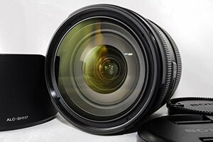 ソニー SONY 標準ズームレンズ DT 16-50mm F2.8 SSM APS-Cフォーマット専用　(shin