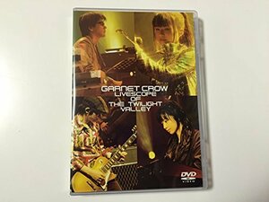 GARNET CROW LIVESCOPE OF THE TWILIGHT VALLEY (初回限定盤) [DVD]　(shin