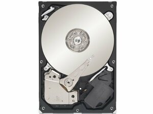 Seagate 3.5インチ内蔵HDD 250GB SATA 6Gb/s 7200rpm 16MB ST250DM000　(shin