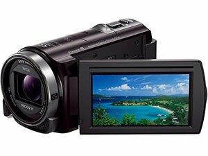SONY ビデオカメラ HANDYCAM CX430V 光学30倍 内蔵メモリ32GB HDR-CX430V/T　(shin