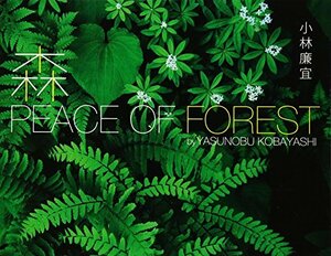 森 PEACE OF FOREST　(shin