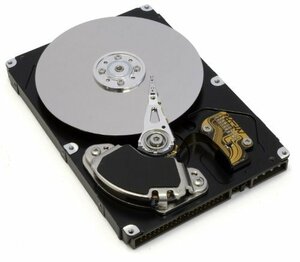 WESTERN DIGITAL 2.5インチ内蔵HDD 250GB Serial-ATA/150 5400rpm 12.0ms 8MB 　(shin