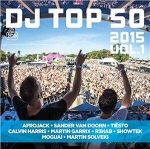 DJ Top 50 2015　(shin