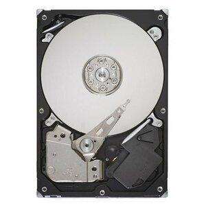 Seagate 3.5インチ内蔵HDD 250GB 7200rpm SATA 6.0Gb/s 8MB ST3250312AS　(shin