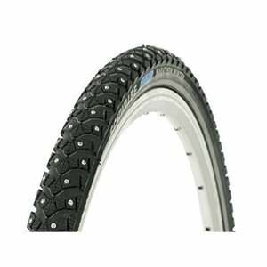 (シュワルベ)SCHWALBE マラソンウィンター 29x2.00 SW-WT100597 2本セット [並行輸入品]　(shin