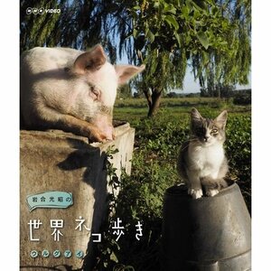 岩合光昭の世界ネコ歩き　ウルグアイ　ブルーレイ【NHKスクエア限定商品】　(shin