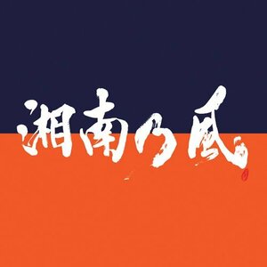 湘南乃風 ～COME AGAIN～(初回限定盤)2CD＋DVD　(shin