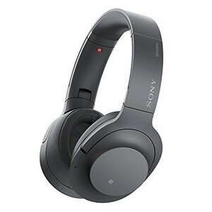 ソニー ワイヤレスノイズキャンセリングヘッドホン h.ear on 2 Wireless NC WH-H900N : Bluetooth　(shin