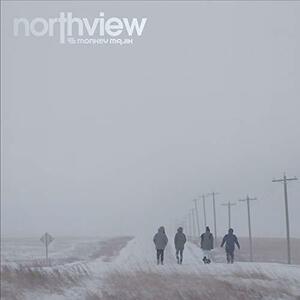 northview(CD+DVD)(初回生産限定)　(shin