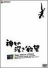 神々の深き欲望 [DVD]　(shin