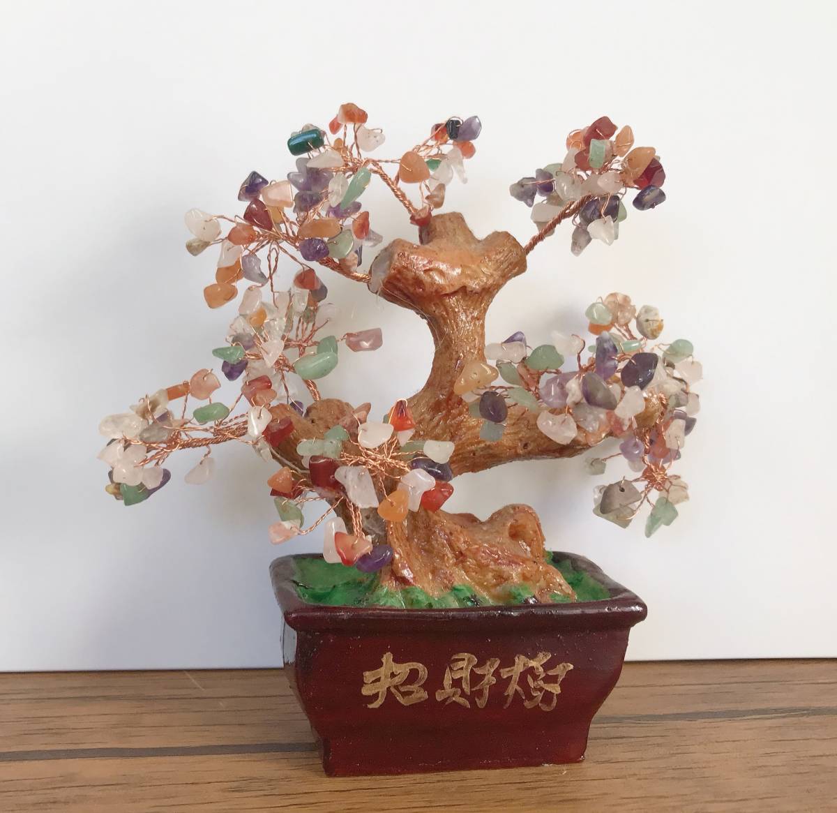 2023年最新】ヤフオク! -招財樹の中古品・新品・未使用品一覧