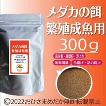 高飼料エサ 【メダカの餌 (殖魚～成魚用)】300g めだかエサ ミジンコ　メダカエサ　ゾウリムシ　PSB　おとひめ　ライズの利用者にどうぞ_画像1