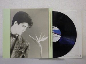 LP レコード 山本達彦 TATSUHIKO YAMAMOTO ロマンティック ビュー ROMANTIC VIEW 【 E+ 】 E10605Z