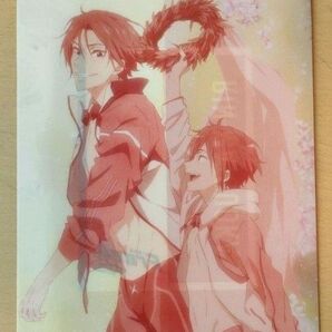 Free! 松岡凛 クリアファイル