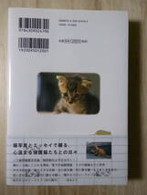 [m11874y b] 帯付 ネコロジー 坂崎幸之助　ノラ猫トイとその仲間たちの物語_画像3