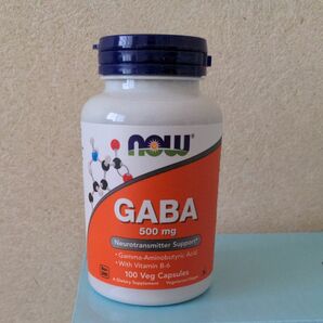 GABA 500 mg 植物性カプセル 100粒 　NOW社