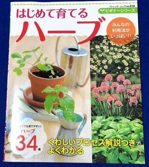 書籍 はじめて育てるハーブ ブティック・ムック no.858 [ブティック社] 中古