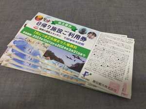  глициния рисовое поле туристический акционер пригласительный билет день .. объект использование талон ×8 шт. комплект * бесплатная доставка *
