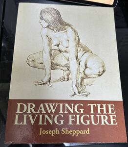 Drawing the Living Figure Dover Anatomy for Artists Joseph Sheppard