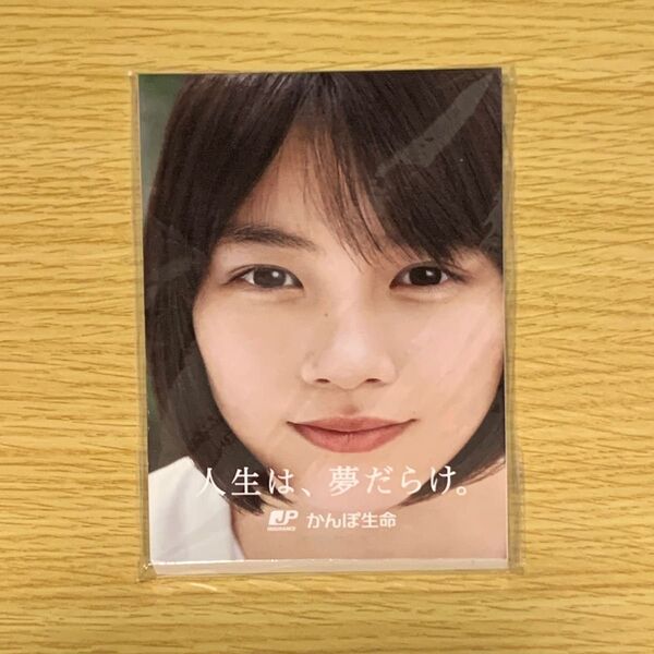 【即日発送】能年玲奈 のん かんぽ生命 メモ帳
