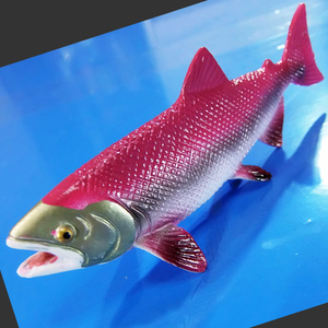 レッドサーモン(紅鮭) フィギュア(ミニチュア)　Type-S　 [釣り 鮭 トラウト 大人のオモチャ]