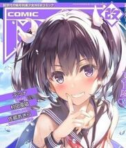 深崎暮人 タペストリー コミック 阿吽 改 Vol.19 表紙イラスト 正規品 新品未開封 COMIC AUN_画像1