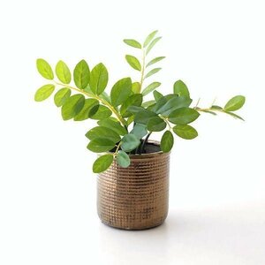 鉢 プランター 陶器 植木鉢 おしゃれ モダン フラワーポット ファインラティスリムポット 送料無料(一部地域除く) cov8936