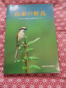 ★山梨の野鳥 (山日カラーブックス) やまなし野鳥の会研究グループ(編集)★山日カラーブックス★このほん片手にバードウォッチング★