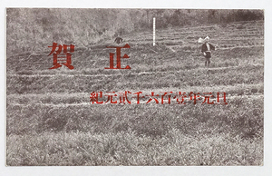 Art hand Auction HP503 [Carte postale d'avant-guerre] Yamaguchi Seijuen, Izu, Shuzenji / Carte du Nouvel An, cachet de la poste, 1941 /// Chèque) Magasin de publicité, Documents imprimés, Carte postale, Carte postale, autres