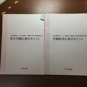 フォーサイト　社会保険労務士　2022年度 労働経済白書のポイント 厚生労働白書のポイント