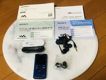 ★SONY ウォークマン　ソニー　 NW-E052 WALKMAN★_画像1