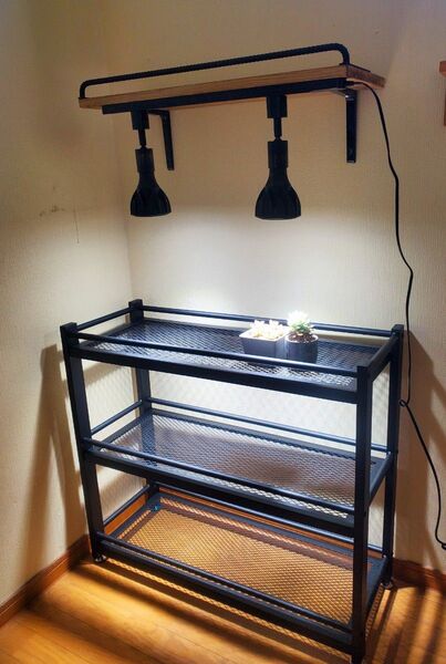 植物棚 アイアン 植物育成 塊根植物 多肉植物 男前 インダストリアル