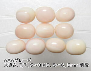 NO.3 クイーンコンクシェルＡＡＡナゲット型(8×6ｍｍ)(10粒入り)＜お守り＞小粒タイプ 仕分け済み天然石現品