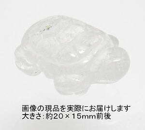 NO.6 sen turtle ( crystal ) Carving ( sculpture goods )(20×15mm)(1 piece )< ten thousand thing .. style peace > length .* luck with money * better fortune natural stone reality goods 