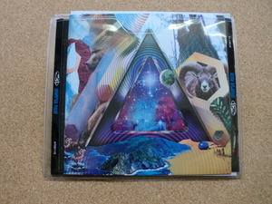 ＊【CD】311／UNIVERSAL PULSE（AT00115）（輸入盤）