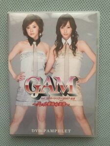 DVD パンフレット　GAM コンサートツアー2007初夏　松浦亜弥　藤本美貴　ハロプロ アイドル