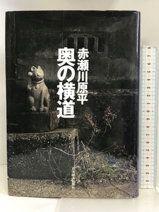 奥の横道 日本経済新聞出版 赤瀬川 原平