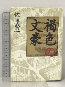 褐色の文豪 文藝春秋 佐藤 賢一