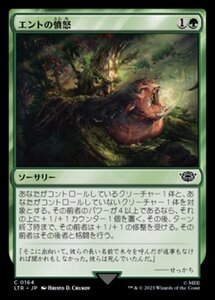 MTG ■緑/日本語版■ 《エントの憤怒/Ent's Fury》★FOIL★ 指輪物語:中つ国の伝承 LTR