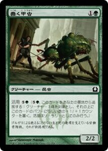 MTG ■緑/日本語版■ 《蠢く甲虫/Drudge Beetle》★FOIL★ ラヴニカへの回帰 RTR