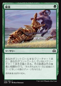 MTG ■緑/日本語版■ 《捕食/Prey Upon》霊気紛争 AER