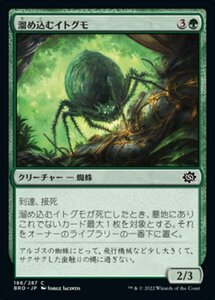 MTG ■緑/日本語版■ 《溜め込むイトグモ/Hoarding Recluse》兄弟戦争 BRO