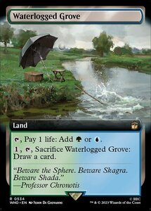 MTG ■土地/英語版■ 《冠水樹林帯/Waterlogged Grove》★拡張FOIL★ ドクター・フー WHO