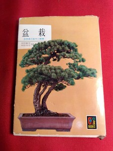 盆栽　自然美の創作と観賞　昭和41年　初版