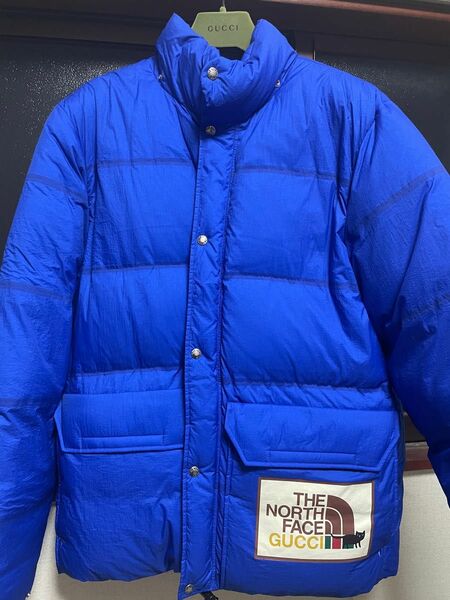 THE NORTH FACE×Gucci ダウンジャケット