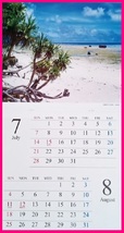【送料無料：1冊:大きな カレンダー:大きい サイズ:B3:2024年】★癒される 綺麗な「日本の風景」壁掛け★60x30㎝ ★こよみ 暦:C_画像7