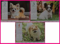 【すぐに発送：カレンダー：2024年：A3：犬】★可愛い 「子犬」：44x29cm：壁掛け★A3：仔犬 いぬ イヌ:暦:こよみ:S_画像2